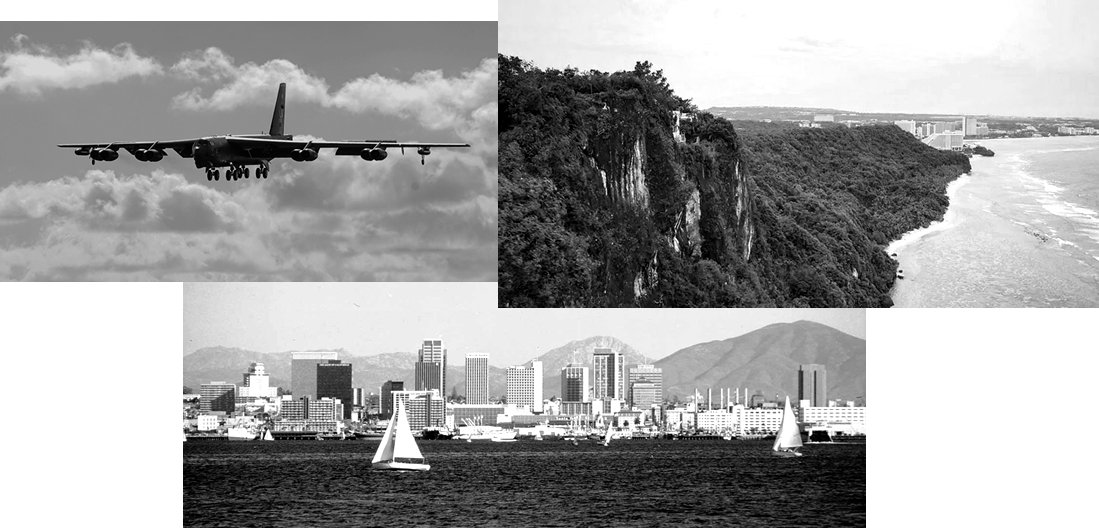 Oaks From Acorns Grow