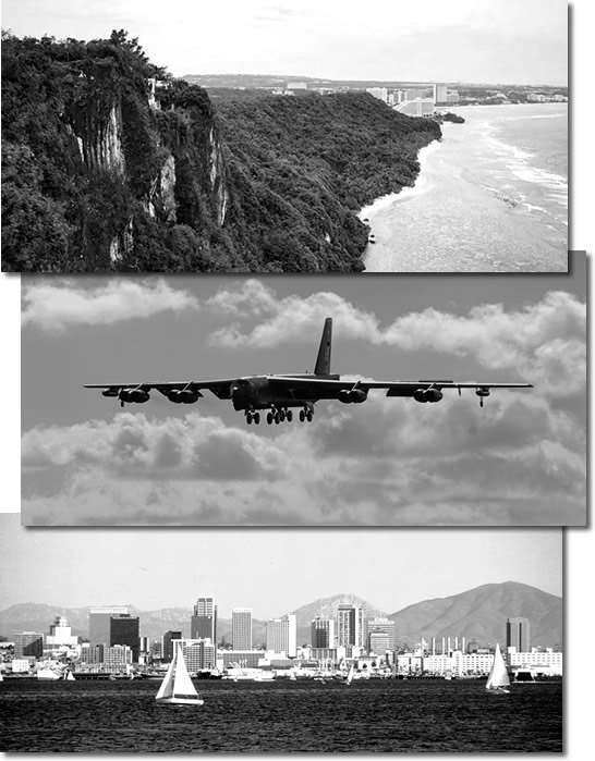 Oaks From Acorns Grow